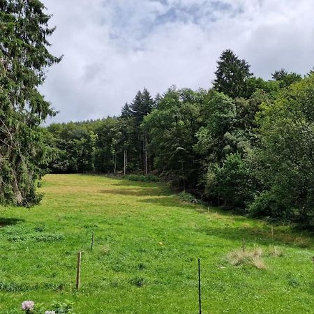 Bellavista Lägenhet Badenweiler Exteriör bild