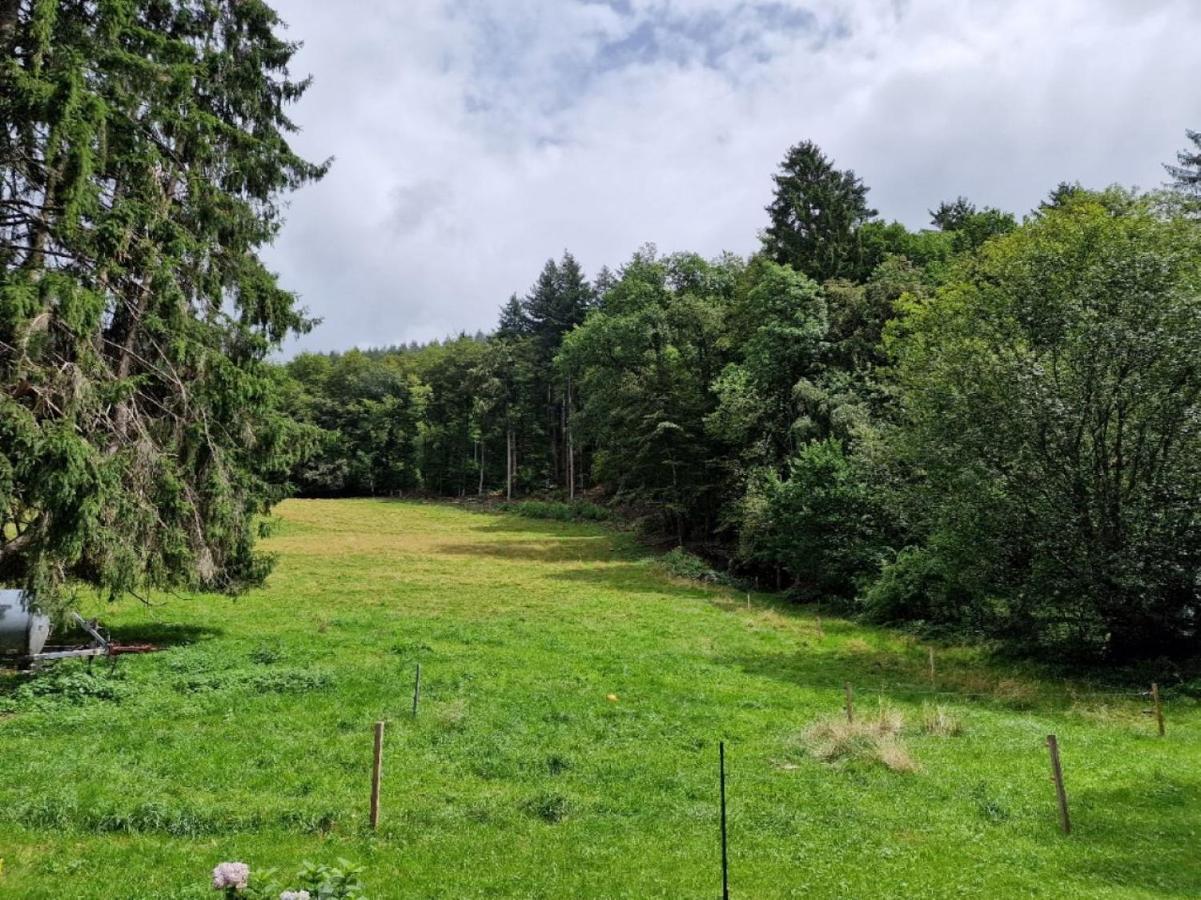 Bellavista Lägenhet Badenweiler Exteriör bild